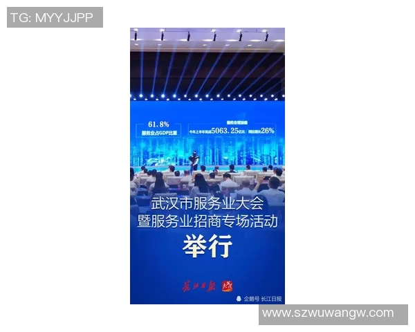 武汉排球队的节奏革新之路：从传统到现代的转型探索与实践