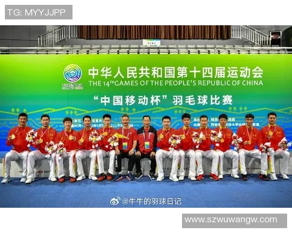 武汉羽毛球队在全运会中的状态分析与表现评估