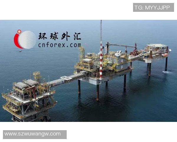 重庆乒乓球队在欧锦赛中的辉煌历程与突破成就全景回顾